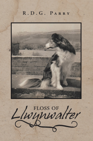 Cover image: Floss of Llwynwalter 9781728353616