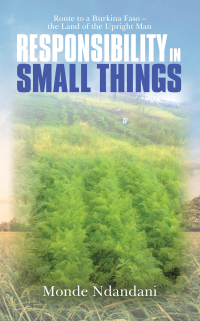 Omslagafbeelding: Responsibility in Small Things 9781728354491