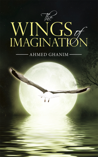 表紙画像: The Wings of Imagination 9781728355290