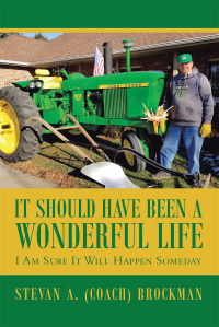 Cover image: It Should Have Been a Wonderful Life 9781728359038