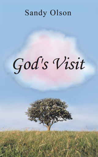 Imagen de portada: God’s Visit 9781728359427