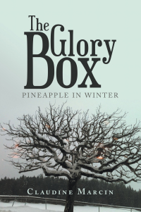 Cover image: The Glory Box 9781728362212