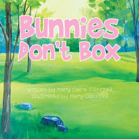 Cover image: Bunnies Don’t Box 9781728368634