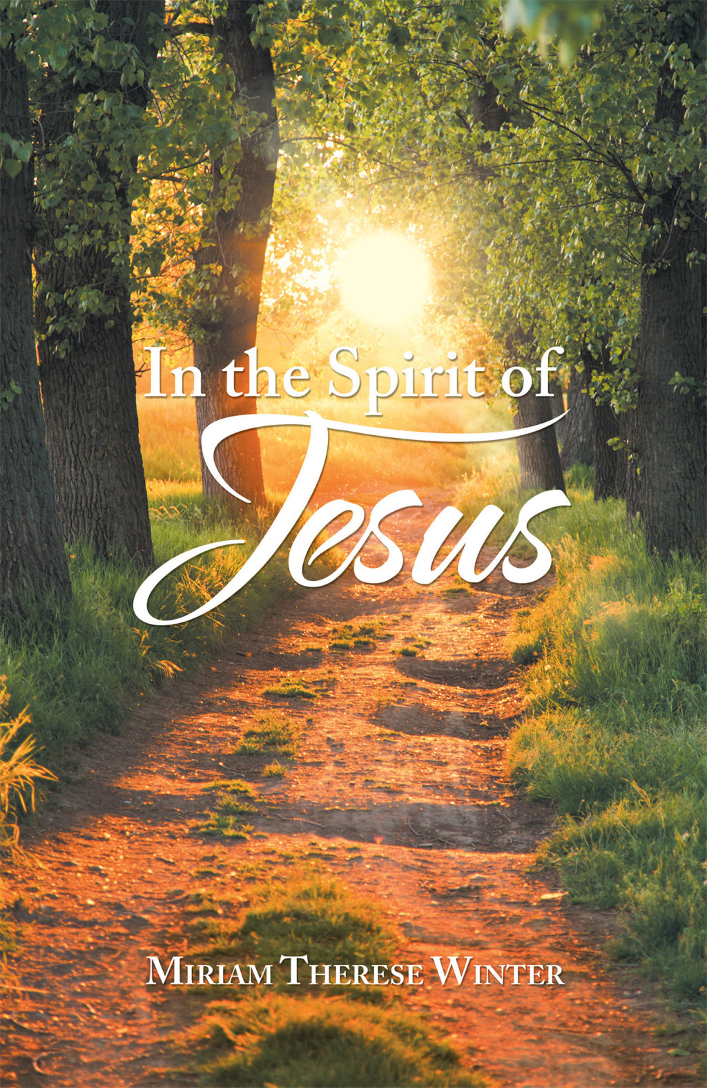 In the Spirit of Jesus eBook
