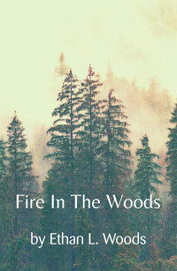 Cover image: Fire in the Woods 9781728373430