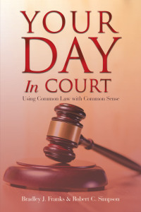 Cover image: Your Day in Court 9781728377247