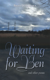 Imagen de portada: Waiting for Ben 9781728379524