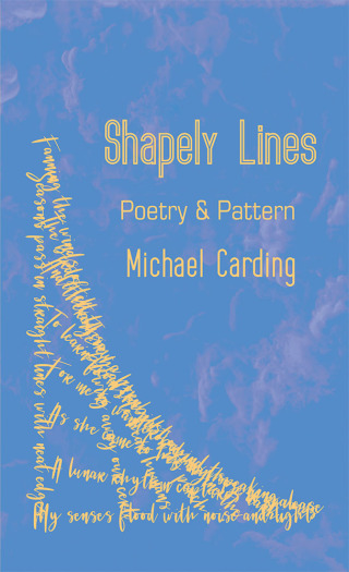 Omslagafbeelding: Shapely Lines 9781728380186