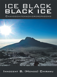 Titelbild: Ice Black Black Ice 9781728380346