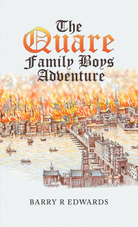 Cover image: The Quare Family Boys Adventure 9781728382746