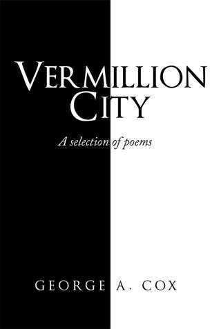 Cover image: Vermillion City 9781728388717
