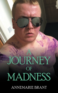 Cover image: A Journey of Madness 9781728390765