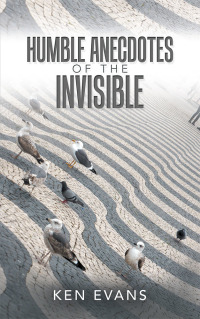 Cover image: Humble Anecdotes of the Invisible 9781728392479