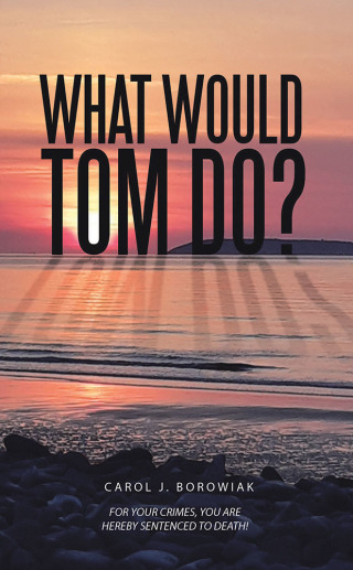 Cover image: What Would Tom Do? 9781728393667
