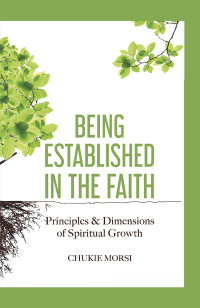 Cover image: Being Established in the Faith 9781728393902