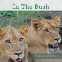 Cover image: In the Bush 9781728394312
