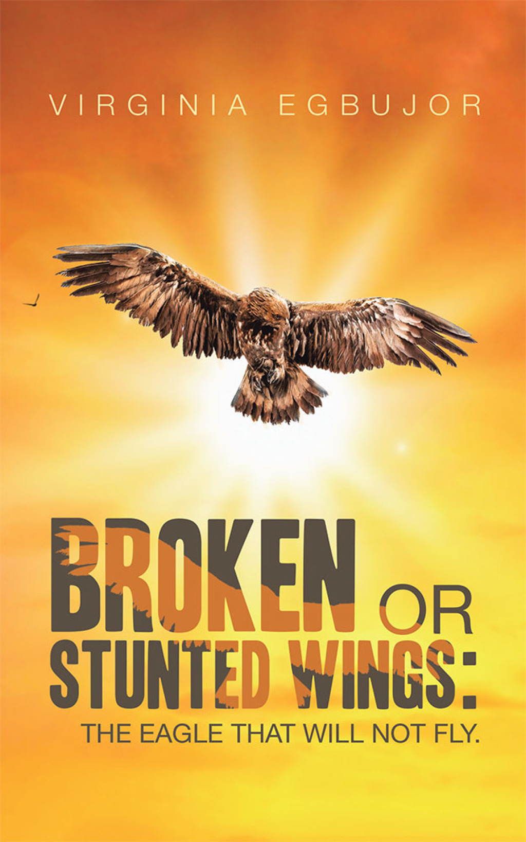 Broken or Stunted Wings eBook