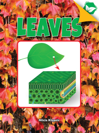 Cover image: Leaves 9781683424567