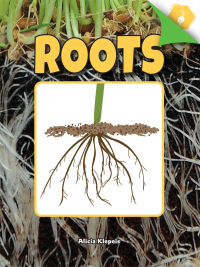 Cover image: Roots 9781683424574