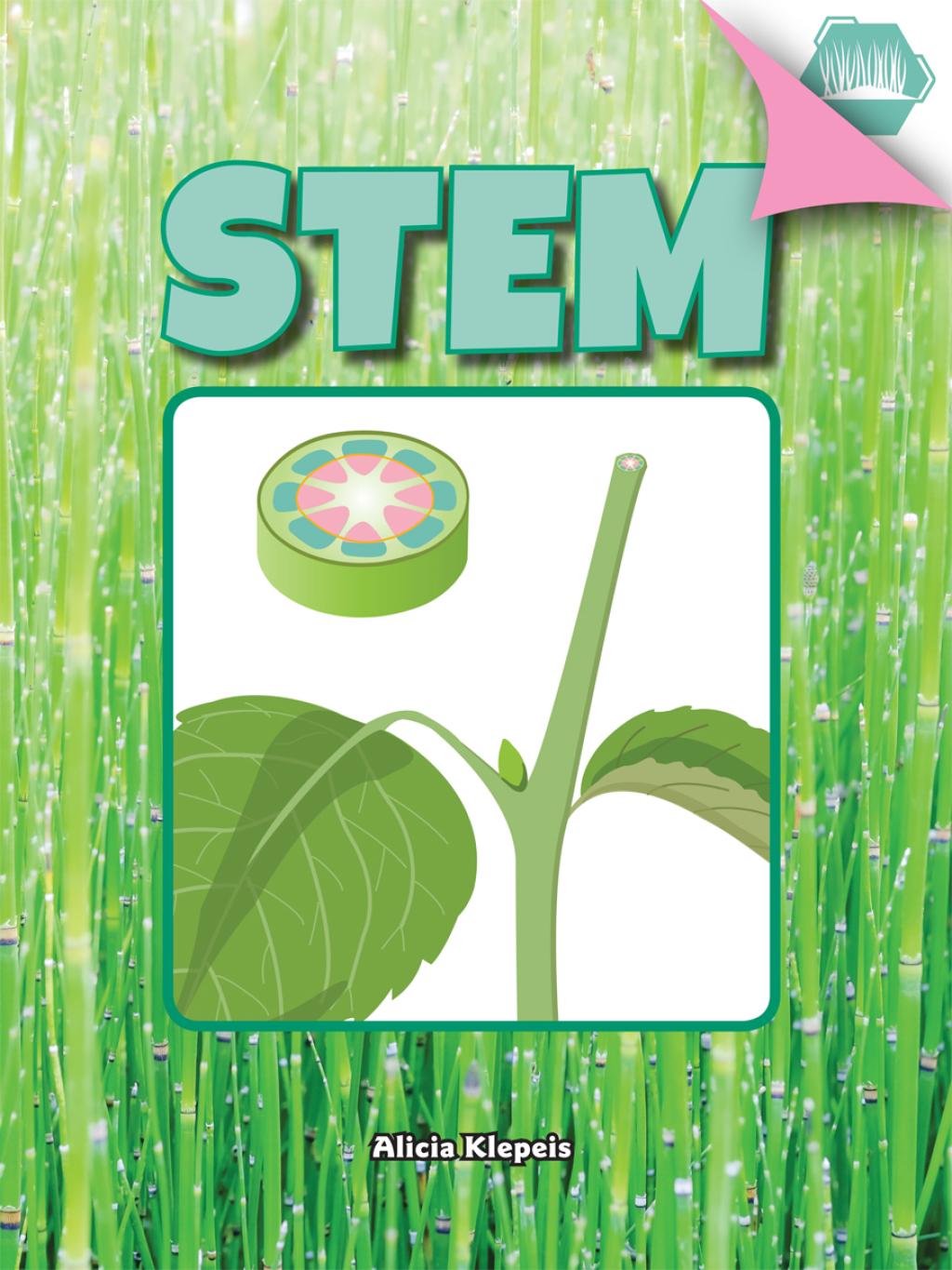 Stem (eBook)