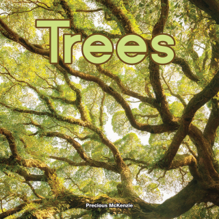 Imagen de portada: Trees 9781683424185