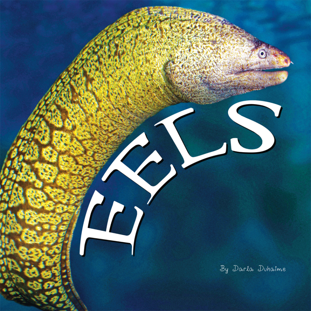 Eels (eBook)