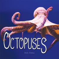 表紙画像: Octopuses 9781683424239