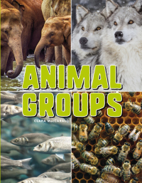 Imagen de portada: Animal Groups 9781683424437