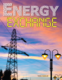 Omslagafbeelding: Energy Exchange 9781683424451