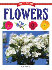 表紙画像: State Guides to Flowers 9781683424734