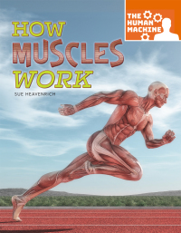 صورة الغلاف: How Muscles Work 9781641565615