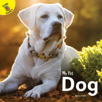 Cover image: Dog 9781731604064