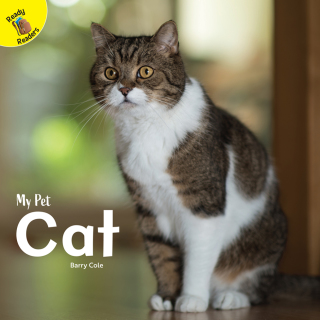 Imagen de portada: Cat 9781731604071