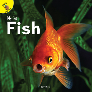 Imagen de portada: Fish 9781731604088