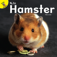 Cover image: Hamster 9781731604095