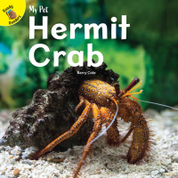 Cover image: Hermit Crab 9781731604101