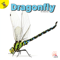 Cover image: Dragonfly 9781731604392