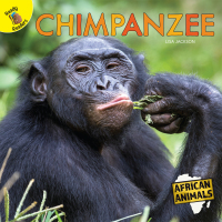 Imagen de portada: Chimpanzee 9781731604460