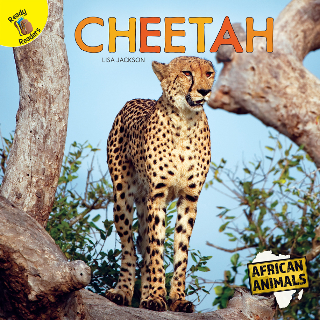 Cheetah