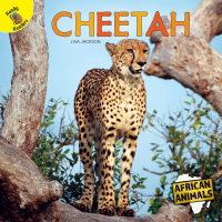 表紙画像: Cheetah 9781731604491