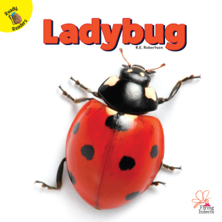 Imagen de portada: Ladybug 9781731604552