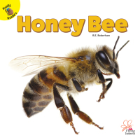Imagen de portada: Honey Bee 9781731604569