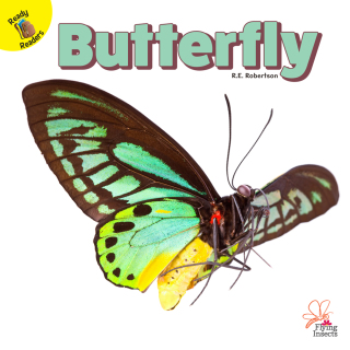 Imagen de portada: Butterfly 9781731604576