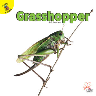 Cover image: Grasshopper 9781731604583