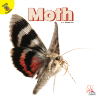 Cover image: Moth 9781731604590