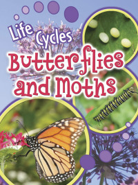 صورة الغلاف: Butterflies and Moths 9781615905478