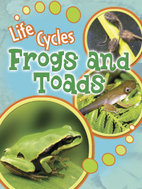 Imagen de portada: Frogs and Toads 9781615905485