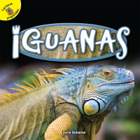 Imagen de portada: Iguanas 9781641560931