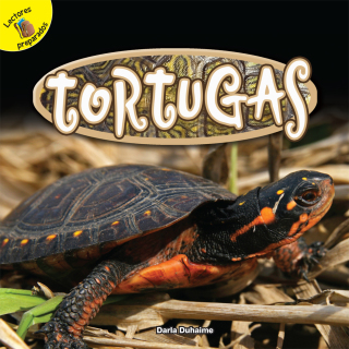 Cover image: Tortugas 9781641560122