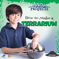صورة الغلاف: How to Make a Terrarium 9781641565547
